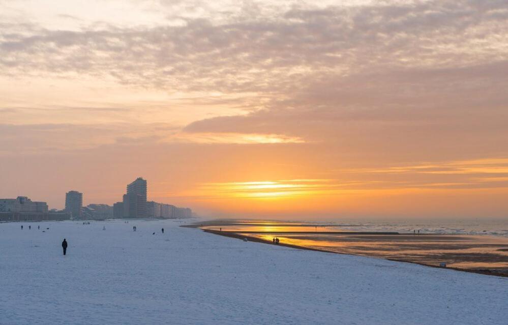 Caravan Aan Zee Arnani ミデルケルケ エクステリア 写真