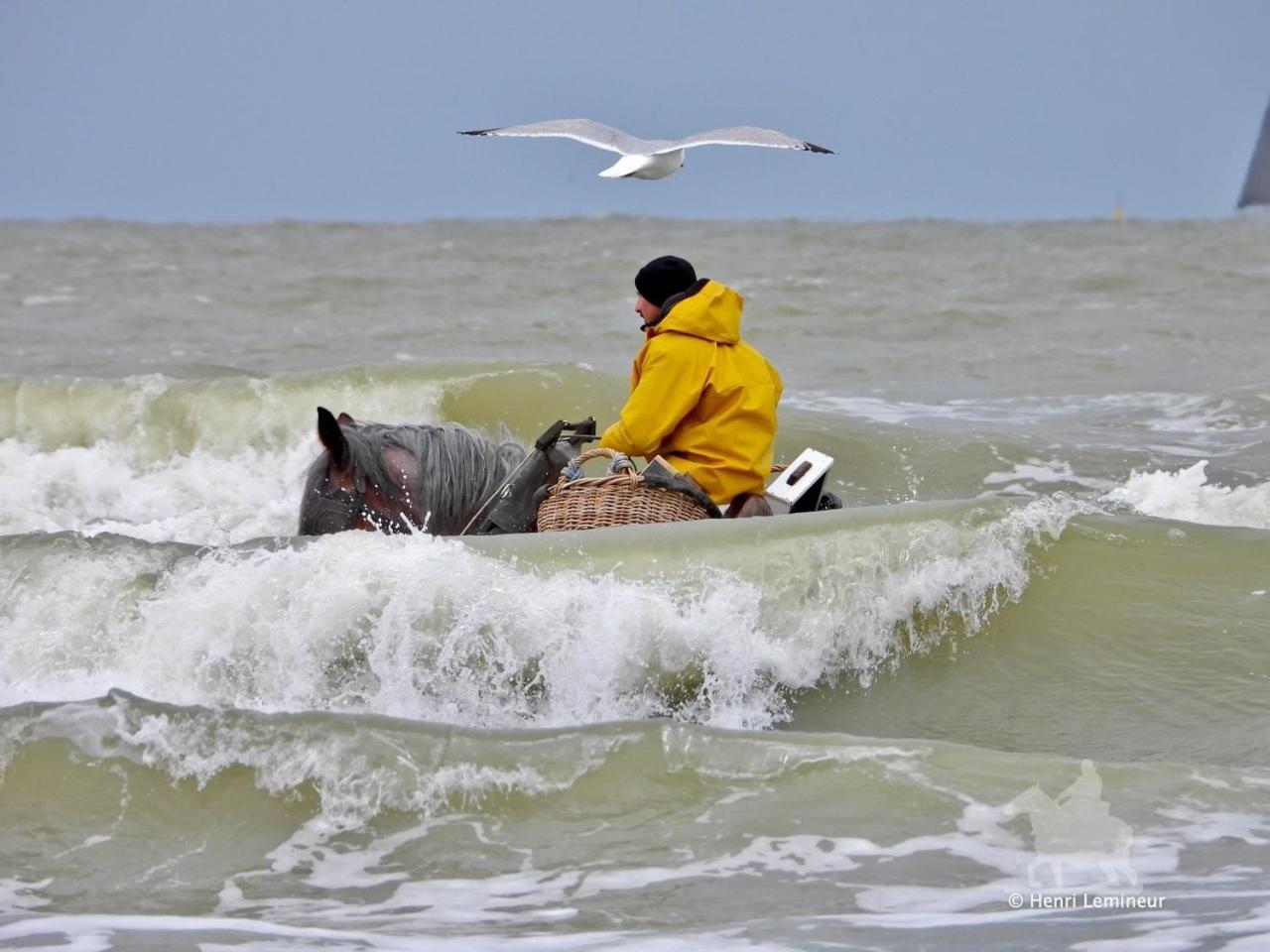 Caravan Aan Zee Arnani ミデルケルケ エクステリア 写真